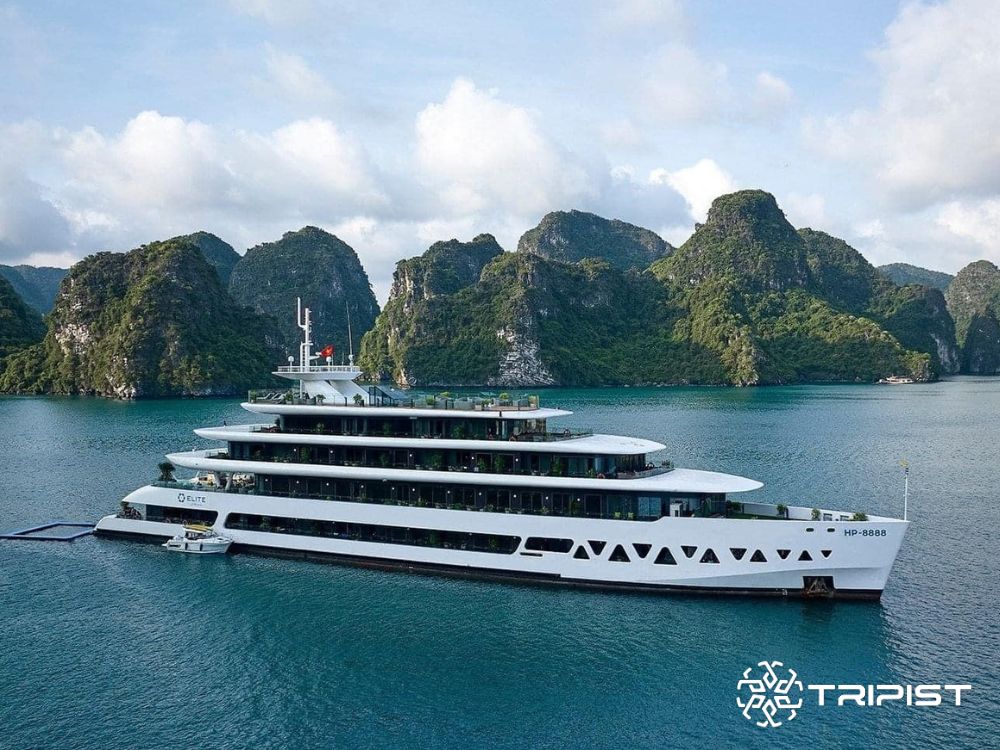 Elite of The Seas Cruise - Tripist