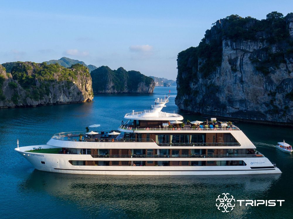 Stellar Of The Seas Cruise - Tripist Travel
