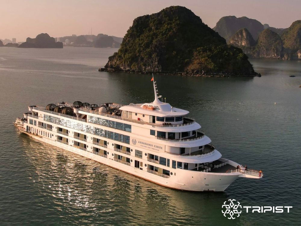 Ambassador Day Cruise - Tripist