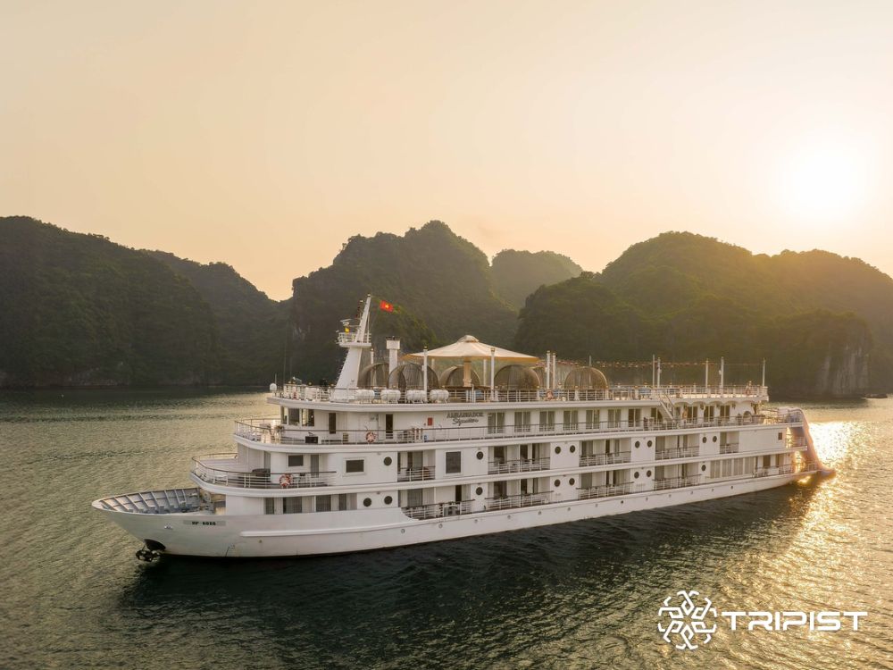 Ambassador Signature Cruise - Tripist