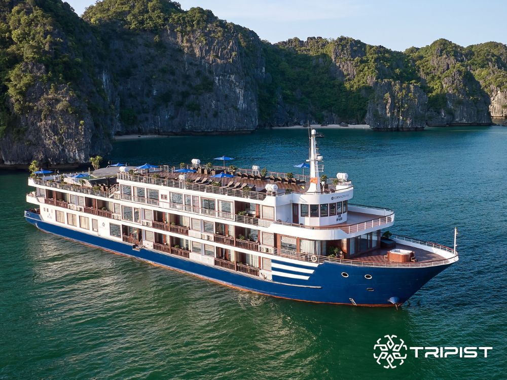 Aqua of The Seas Cruise - Tripist