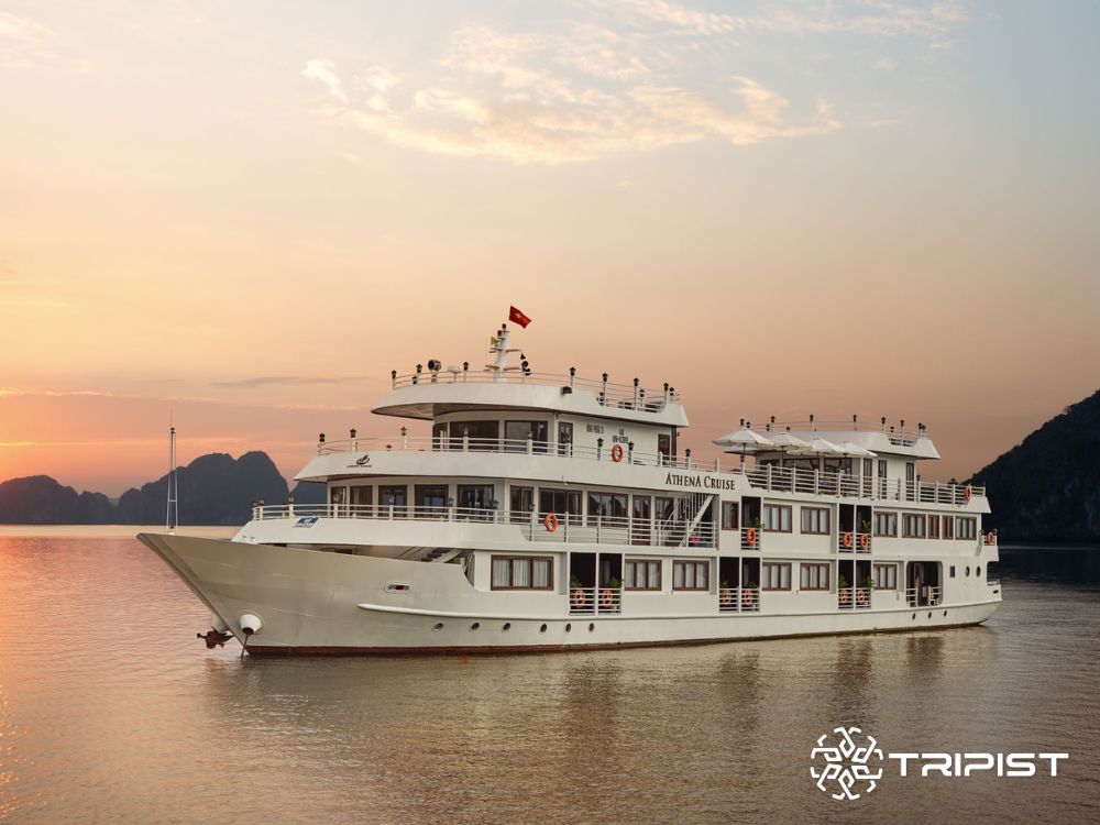Athena Luxury Cruise - Tripist