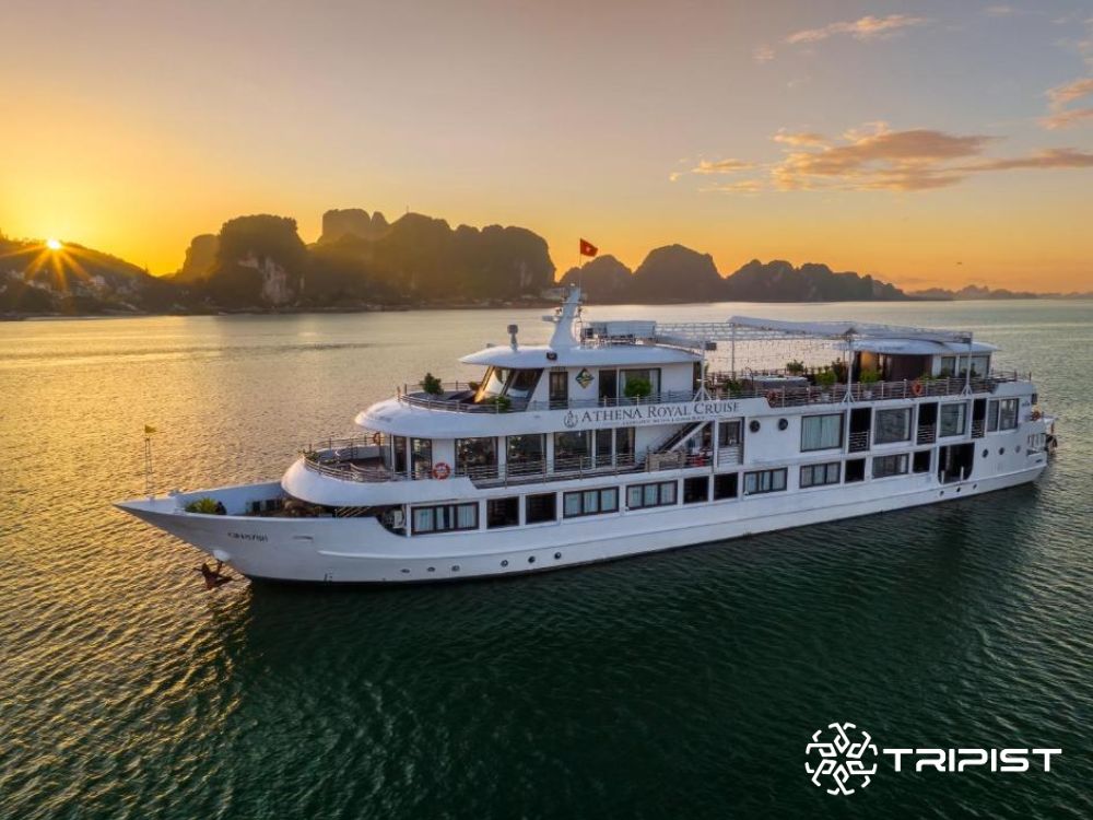 Athene Royal Cruise - Tripist