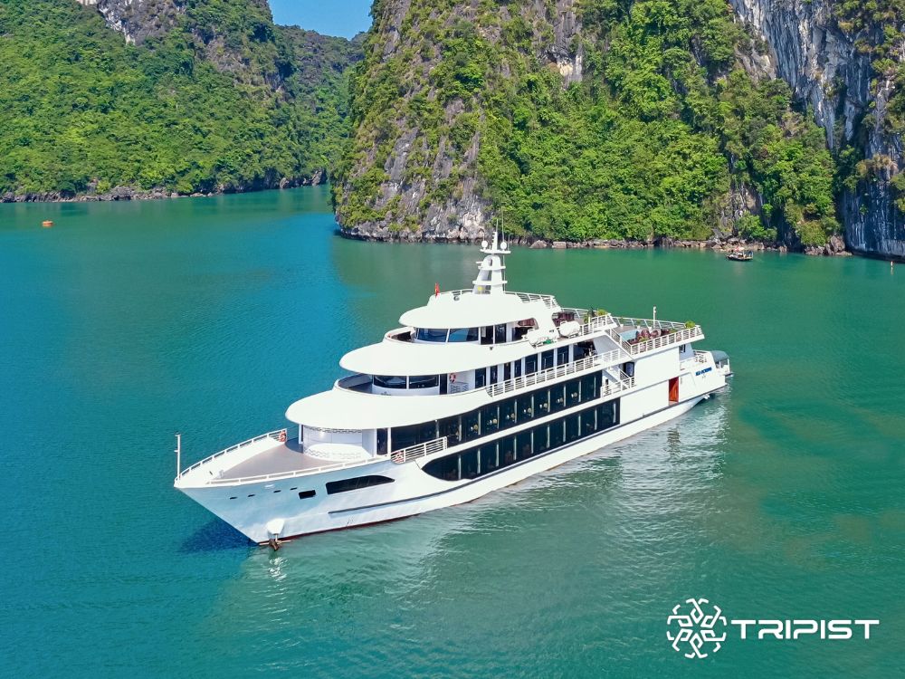Sea Octopus Cruise - Tripist