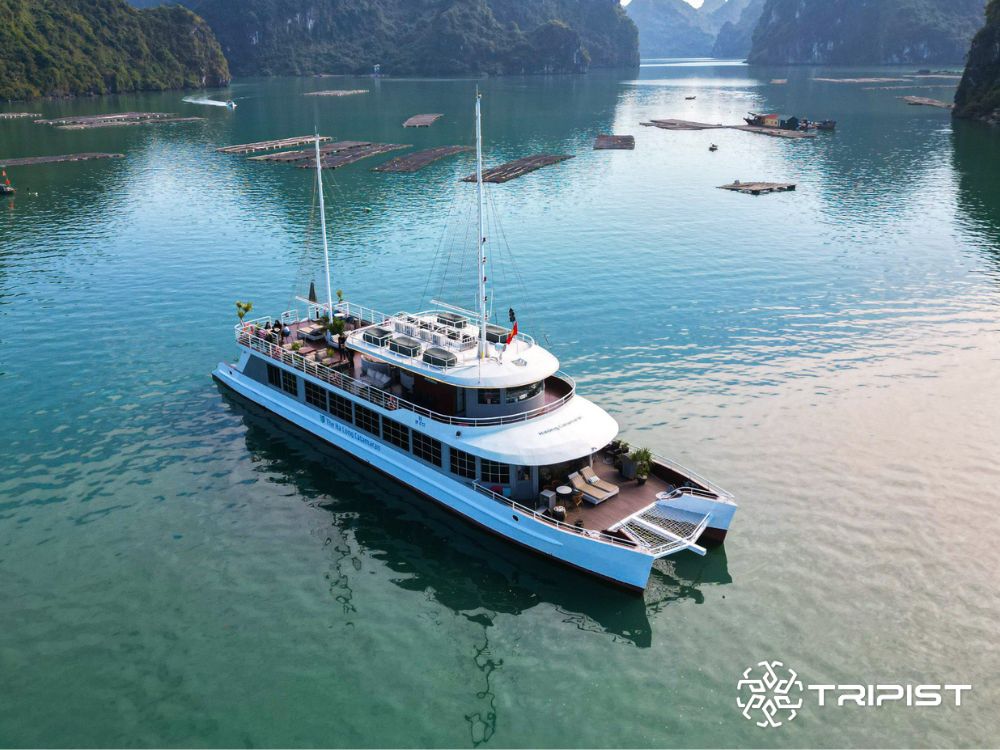 The Halong Catamaran Premium - Tripist