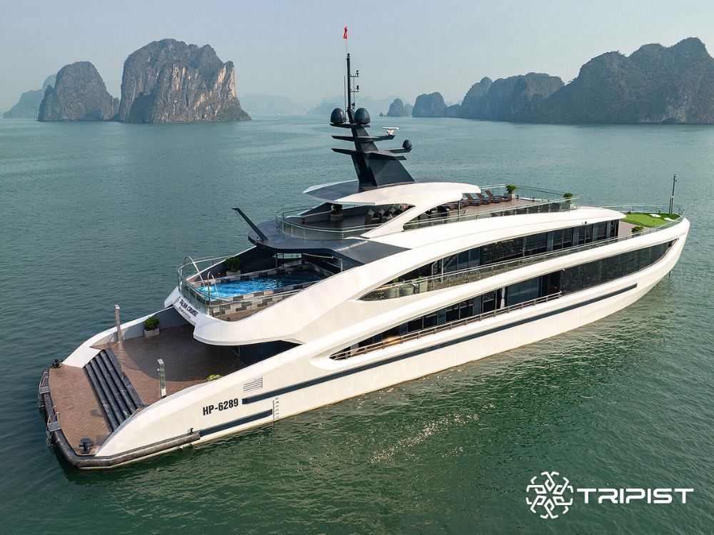 Tripist - Taliya Cruise 2