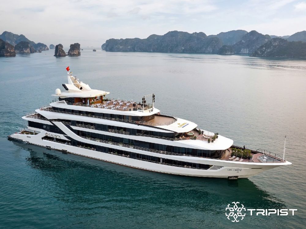 Tripist - Calista Cruise