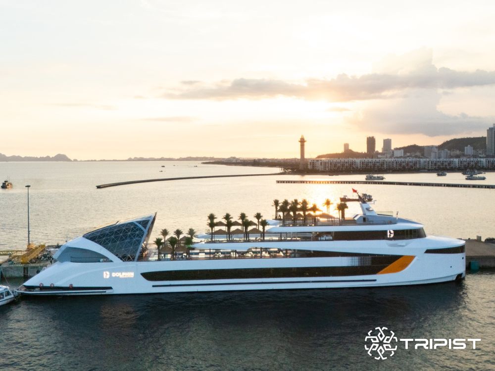 Tripist - Dolphin Ha Long Cruise