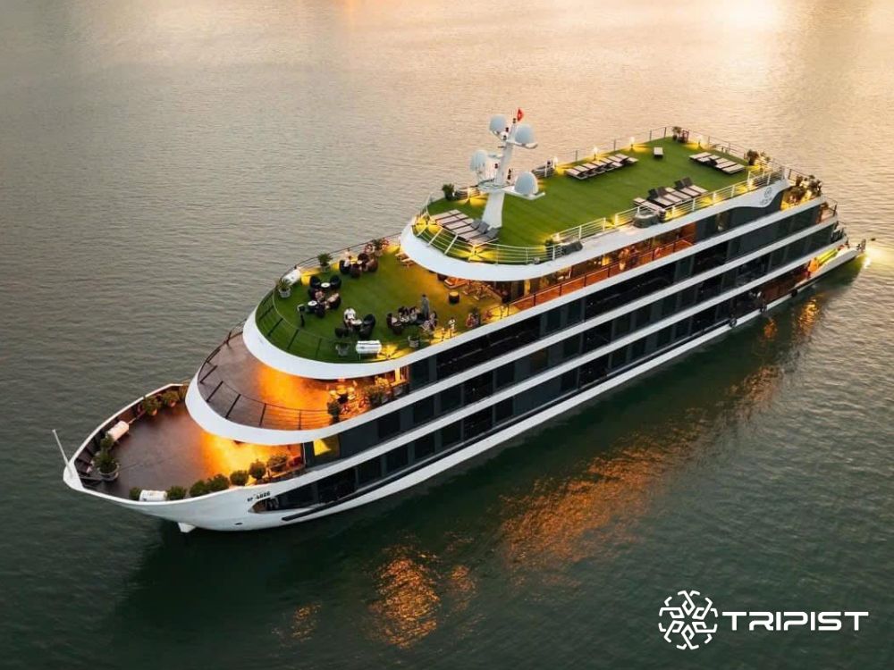 Venus-Cruise-Du-thuyen-Tripist (1)